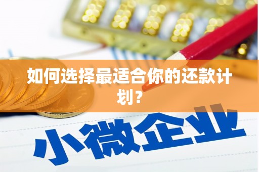 南化如何选择最适合你的还款计划？