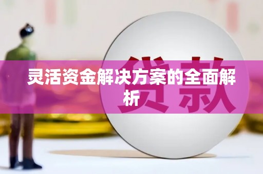 南化灵活资金解决方案的全面解析