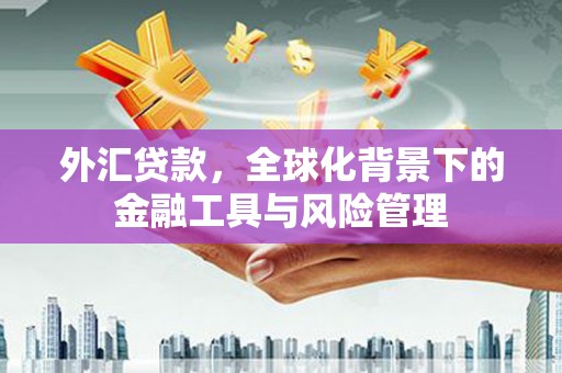 南化外汇贷款，全球化背景下的金融工具与风险管理