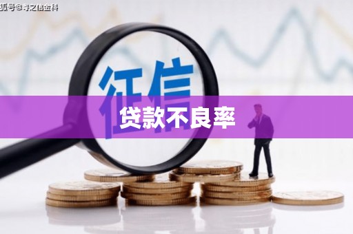 南化贷款不良率