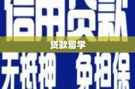 南化贷款留学