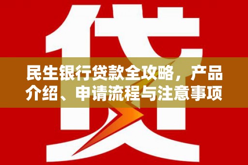 南化民生银行贷款全攻略，产品介绍、申请流程与注意事项